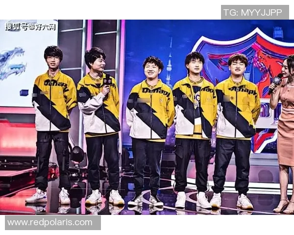 深圳排球队崛起之路精英赛背后的奋斗与荣耀 深圳排球队崛起之路精英赛背后的奋斗与荣耀