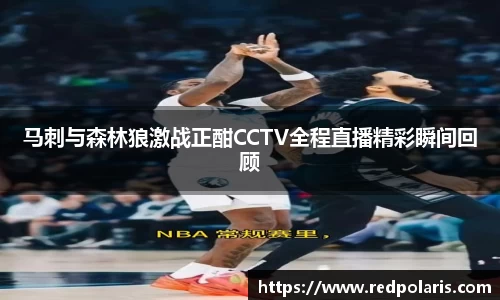 马刺与森林狼激战正酣CCTV全程直播精彩瞬间回顾