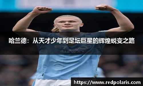 8868体育官方网站