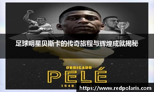 8868体育官网